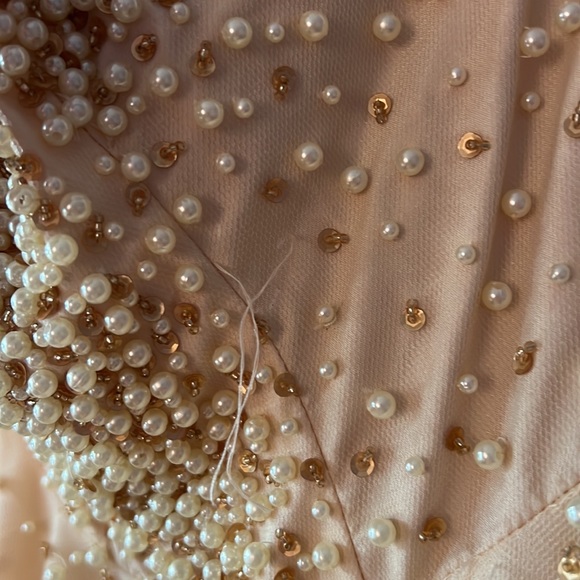 Terani Couture beautiful dress size 0 - Picture 4 of 8